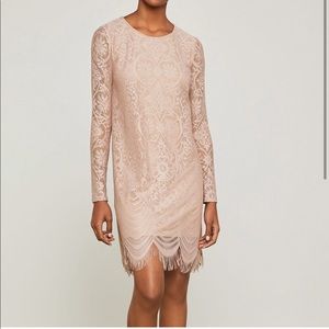 BCBG lace a line marae dress size M NWT